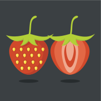 Strawberry fruit slice