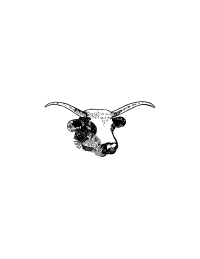 steer head