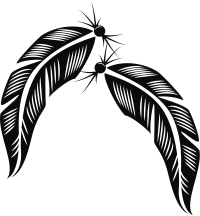 Feathers