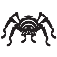 Silhouette of a spider