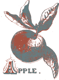 Retro Apple