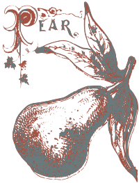 Retro Pear