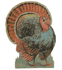 Turkey 1895