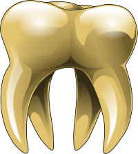 Gold tooth