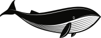Whale