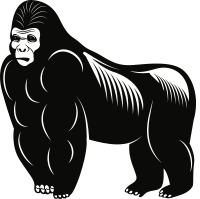 Gorilla