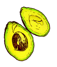 Basic Colour Avocado Sliced