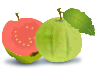 Pink Guava