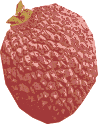 Lychee
