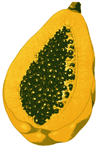Papaya fruit