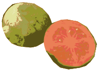 Sliced Open Guava