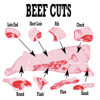 Beef Cuts Diagram