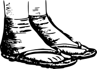 Basic Zori