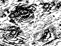 Woodgrain Pattern 2