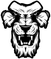 Lion1