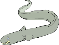 a Smiling Eel