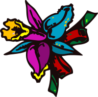 mazzo di fiori (Colorful Flower)