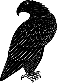 Eagle Silhouette