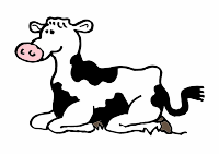 A black and white cow