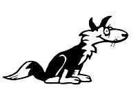 A Dog