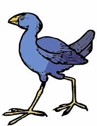 A Pukaka bird from New Zealand