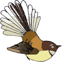 Fantail