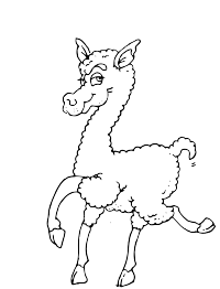 An Alpaca