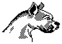 Minipix - Dog 2