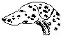 Minipix - Dog 3