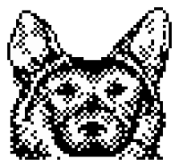 Minipix - Dog 4