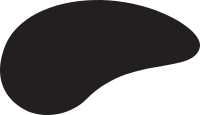 Amoeba