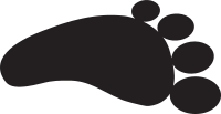 Feet