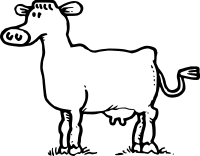 A Cow