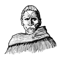A Maori Chief