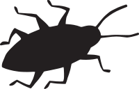 Bug