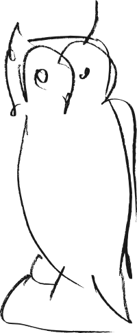 Owl, outline