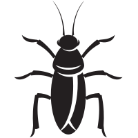 Cockroach silhouette