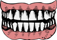 Teeth - Colour Remix