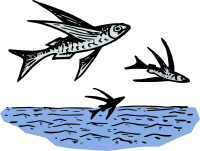 Flying Fish