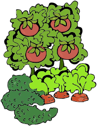 A garden with vegetables - tomato remix