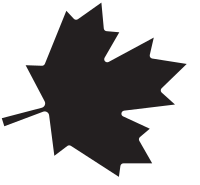 Maple Leaf