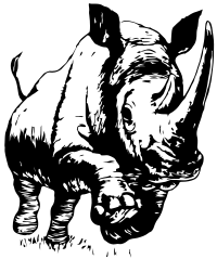 A Line drawing of a Rhino