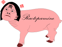 ractopamine pig