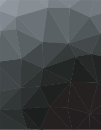 Grey and black polygonal pattern