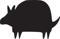 Armadillo