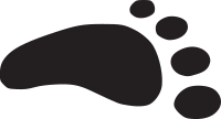 Feet