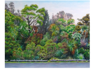Native Bush 01