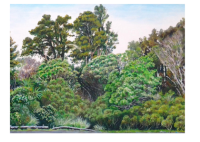 Native Bush-02