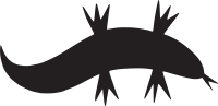 Lizard