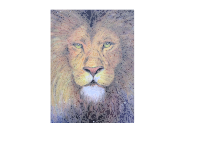 Aslan the Lion
